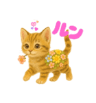 お花畑どうぶつ♡子猫（個別スタンプ：30）