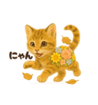 お花畑どうぶつ♡子猫（個別スタンプ：33）