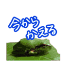 写真でスタンプ作ってみたらこんなのできた（個別スタンプ：4）