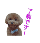 写真でスタンプ作ってみたらこんなのできた（個別スタンプ：7）