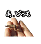 写真でスタンプ作ってみたらこんなのできた（個別スタンプ：10）