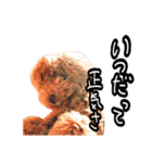 写真でスタンプ作ってみたらこんなのできた（個別スタンプ：14）