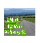 写真でスタンプ作ってみたらこんなのできた（個別スタンプ：19）