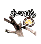 写真でスタンプ作ってみたらこんなのできた（個別スタンプ：22）