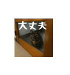 小花達の日常会話スタンプ（日本語）（個別スタンプ：5）