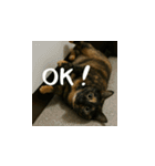 小花達の日常会話スタンプ（日本語）（個別スタンプ：10）