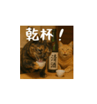 小花達の日常会話スタンプ（日本語）（個別スタンプ：14）