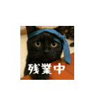 小花達の日常会話スタンプ（日本語）（個別スタンプ：16）