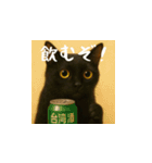 小花達の日常会話スタンプ（日本語）（個別スタンプ：17）