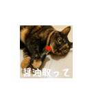 小花達の日常会話スタンプ（日本語）（個別スタンプ：22）