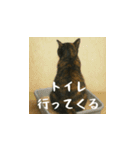 小花達の日常会話スタンプ（日本語）（個別スタンプ：23）