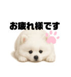 もふもふは世界を救う（白ポメ）（個別スタンプ：2）