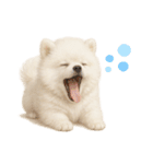 もふもふは世界を救う（白ポメ）（個別スタンプ：13）