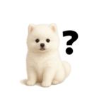 もふもふは世界を救う（白ポメ）（個別スタンプ：22）