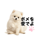 もふもふは世界を救う（白ポメ）（個別スタンプ：25）