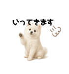 もふもふは世界を救う（白ポメ）（個別スタンプ：27）