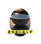 ことわざを言いたい時（個別スタンプ：17）