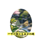 ことわざを言いたい時（個別スタンプ：21）