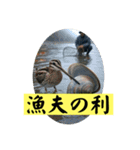 ことわざを言いたい時（個別スタンプ：22）