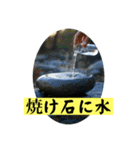 ことわざを言いたい時（個別スタンプ：31）