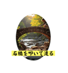 ことわざを言いたい時（個別スタンプ：33）