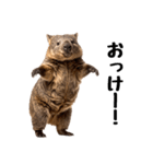 かわいいウォンバットの癒される日常（個別スタンプ：2）