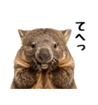 かわいいウォンバットの癒される日常（個別スタンプ：18）