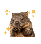 かわいいウォンバットの癒される日常（個別スタンプ：33）