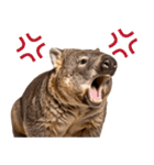かわいいウォンバットの癒される日常（個別スタンプ：35）