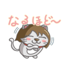 ネコのエミリー（個別スタンプ：14）