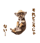 チワワの子犬☆毎日つかえるスタンプ（個別スタンプ：4）