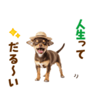 チワワの子犬☆毎日つかえるスタンプ（個別スタンプ：6）