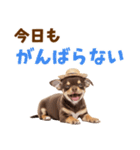 チワワの子犬☆毎日つかえるスタンプ（個別スタンプ：10）