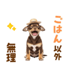 チワワの子犬☆毎日つかえるスタンプ（個別スタンプ：13）
