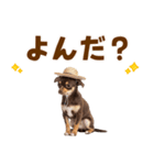 チワワの子犬☆毎日つかえるスタンプ（個別スタンプ：14）