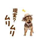 チワワの子犬☆毎日つかえるスタンプ（個別スタンプ：19）