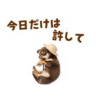 チワワの子犬☆毎日つかえるスタンプ（個別スタンプ：20）