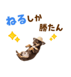 チワワの子犬☆毎日つかえるスタンプ（個別スタンプ：22）
