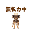 チワワの子犬☆毎日つかえるスタンプ（個別スタンプ：32）