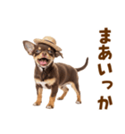 チワワの子犬☆毎日つかえるスタンプ（個別スタンプ：36）