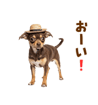 チワワの子犬☆毎日つかえるスタンプ（個別スタンプ：40）