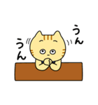 【毎日使える】養鶏場で働くとらきち（個別スタンプ：19）