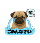『パグ』のスタンプ（個別スタンプ：24）