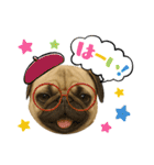 『パグ』のスタンプ（個別スタンプ：25）