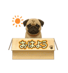 『パグ』のスタンプ（個別スタンプ：28）