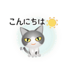 色々な猫6-1 短毛-立ち耳-グレー白（個別スタンプ：5）