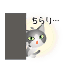 色々な猫6-1 短毛-立ち耳-グレー白（個別スタンプ：6）