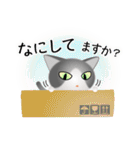 色々な猫6-1 短毛-立ち耳-グレー白（個別スタンプ：8）
