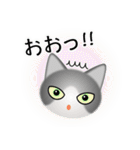 色々な猫6-1 短毛-立ち耳-グレー白（個別スタンプ：10）