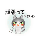 色々な猫6-1 短毛-立ち耳-グレー白（個別スタンプ：16）
